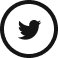 twit_icon